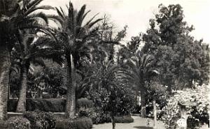 Ain Temouchent 504- Jardins COLLECTION DES AMIS DE ND DE SANTA CRUZ